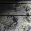 METEOR-M2320250124-094635