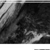METEOR-M2420250620-155801_ir
